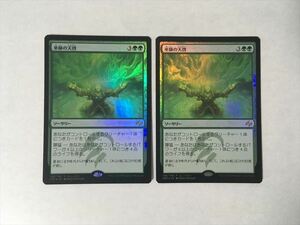 B109【MTG】巫師の天啓 2枚セット Foil ホイル