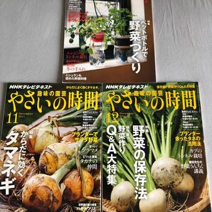 NHK趣味の園芸やさいの時間3冊セット2011年11,12,2012年1月号タマネギ野菜の保存法ペットボトルで野菜づくり