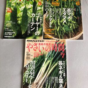 NHK趣味の園芸やさいの時間3冊セット2012年5,6,7月号ゴーヤ茶マメエダマメ長ネギ葉ネギ