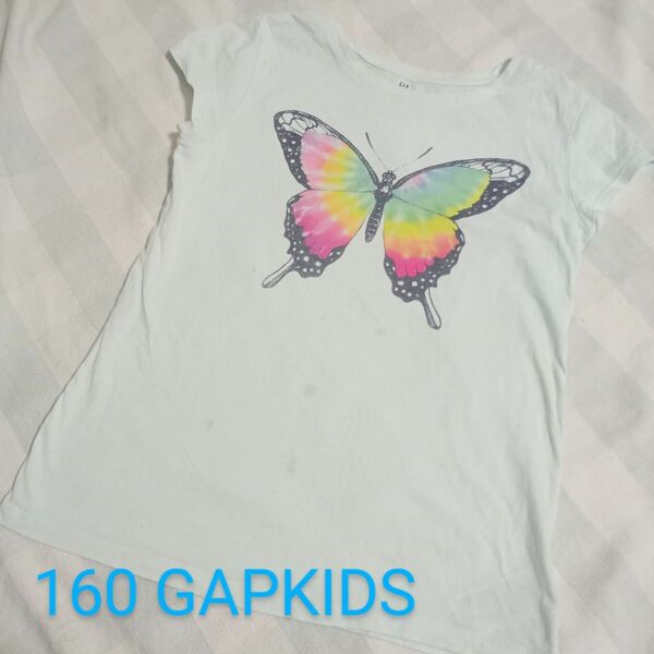 160(XXL)◆GAPKIDS◆Tシャツ◆蝶◆薄ミントブルー