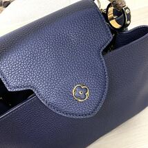 高級 LOUIS VUITTON ルイヴィトン カプシーヌMM パイソン トリヨンレザー LVロゴ モノグラムフラワー 2way ハンドバッグ AH0149_画像6