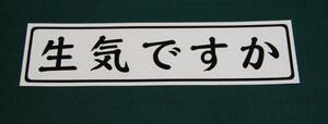 生気ですか　切り文字　カッテング ステッカー　　黒シート