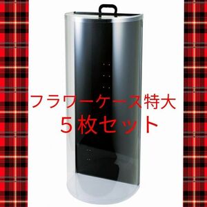 ブーケケース72cm 特大5枚 ウエディング アートフラワーリボン ボックス 箱 送料無料 匿名配送