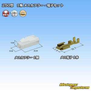 矢崎総業 250型 1極 メスカプラー コネクター・端子セット