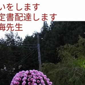 陰陽師お祓いつき霊視　必ず効果あり抜群に効きます。