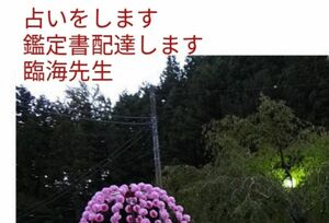 陰陽師お祓いつき霊視　必ず効果あり抜群に効きます。