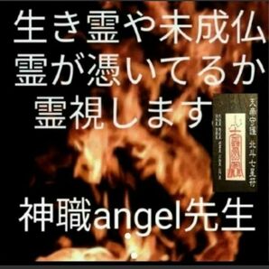 陰陽師霊視　鑑定書配達　金運開運恋愛　悩み打ち明けてくださいプロ占い師　寺から配達