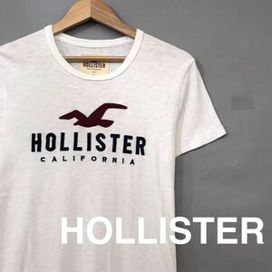 ホリスター HOLLISTER Ｔシャツ 半袖 丸首 トップス カモメ ビッグ ワッペンホワイト 白 メンズ 男性用 XSサイズ ♭▽