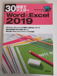 30 hour . master Word & Excel 2019 office base from VBA programming real . publish [ prompt decision ]