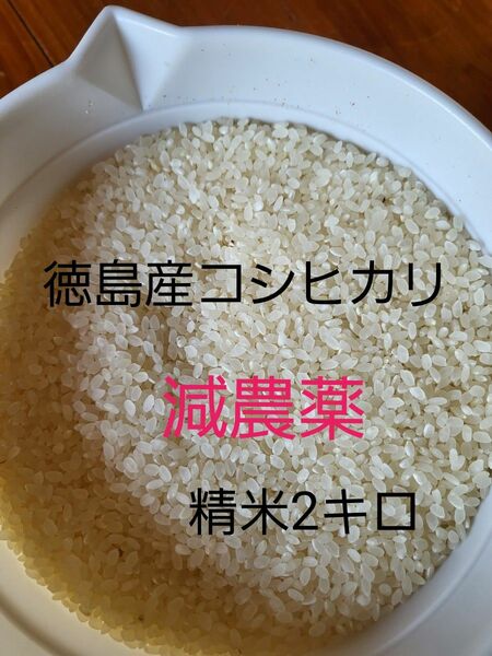 減農薬コシヒカリ2キロ　精米　徳島産　