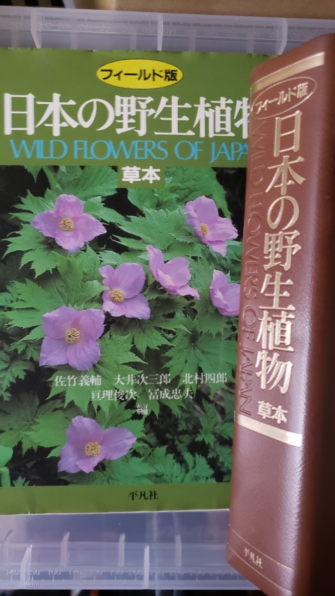 2025年最新】Yahoo!オークション -日本の野生植物の中古品・新品 2025年最新】Yahoo!オークション -日本の野生植物の中古品・新品