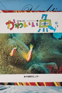 かわいい魚 ＜地球の藍よ永遠に ミニ・フォトシリーズ ①＞　【管理番号西CP本6ue309】