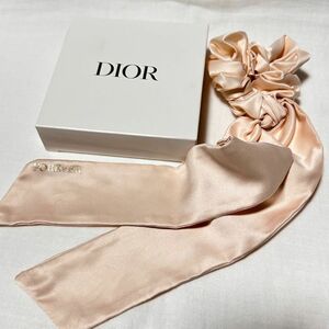 Christian Dior ディオール ノベルティ ボウタイ シュシュ 新品未使用♪