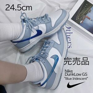 [Бесплатная доставка] [Новая] 24,5㎝ Nike Dunk Low GS Blue Rididescent Nike Dancele GS Blue Ly Приличный