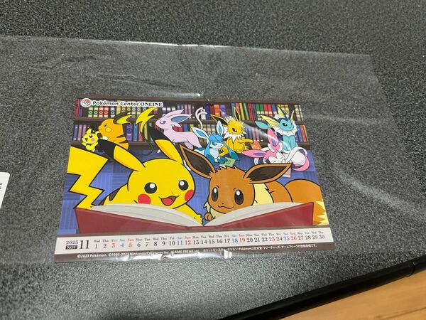 ポケモンセンターオンライン　月替わりカレンダー　11月　ブイズ　ポケモンカード