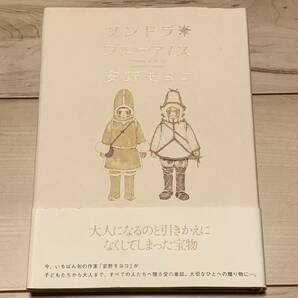 初版帯付 安野モヨコ ツンドラ・ブルーアイス MOYOCO ANNO 集英社刊