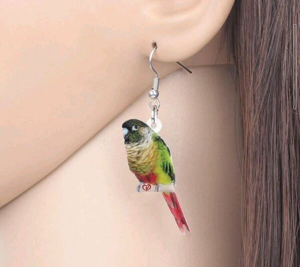 ウロコインコ　ピアス