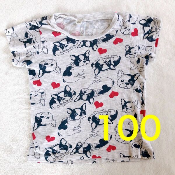 【Tシャツ】フレンチブルドッグ　パグ　100 キッズ　犬