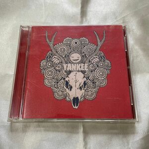 米津玄師 YANKEE 映像盤 CD+DVD