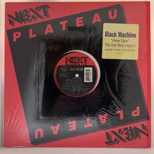 R&B 12 - Black Machine - How Gee - Next Plateau - VG+ - シュリンク付