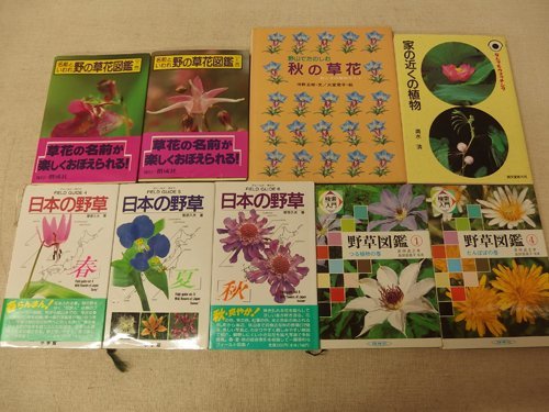 2025年最新】Yahoo!オークション -日本の野草(本、雑誌)の中古品 2025年最新】Yahoo!オークション -日本の野草(本、雑誌)の中古品