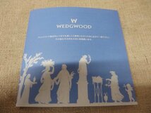 0930534w【WEDGWOOD ワイルドストロベリー マリアージュボール L】ウエッジウッド/ボウル/グリーン/27.5×25×フチH6cm程/未使用保管品？_画像9