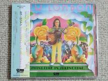 ●美品CD Lew London/ルウ・ロンドン『Swingtime In Springtime』●国内盤/USアコースティック・スウィング_画像1