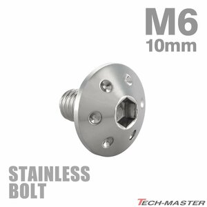 M6×10mm P1.0 ボタンボルト ホールヘッド ステンレス シルバー カウル スクリーン フェンダー 車 バイク カスタム 1個 TR0050