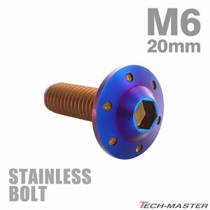 M6×20mm P1.0 ボタンボルト ステップホールヘッド ステンレス 焼きチタンカラー カウル フェンダー 車 バイク カスタム 1個 TR0207