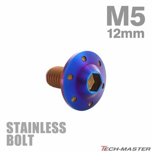 M5×12mm P0.8 ボタンボルト ステップホールヘッド ステンレス 焼きチタンカラー カウル フェンダー 車 バイク カスタム 1個 TR0200