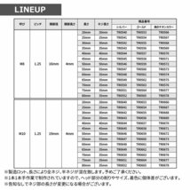 M10×80mm P1.25 ボタンボルト ステップホールヘッド ステンレス シルバー カウル フェンダー 車 バイク カスタム 1個 TR0652_画像2