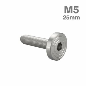 M5×25mm P0.8 ボタンボルト シェルヘッド フラット ステンレス マット シルバー カウル フェンダー バイク カスタム 1個 TR0822