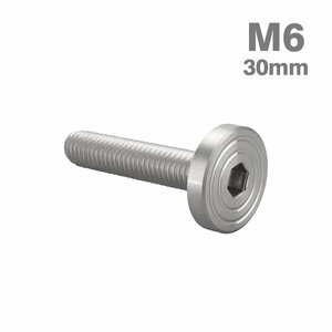 M6×30mm P1.0 ボタンボルト シェルヘッド フラット ステンレス マット シルバー カウル フェンダー バイク カスタム 1個 TR0830