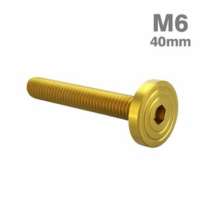 M6×40mm P1.0 ボタンボルト シェルヘッド フラット ステンレス マット ゴールド カウル フェンダー バイク カスタム 1個 TR0851