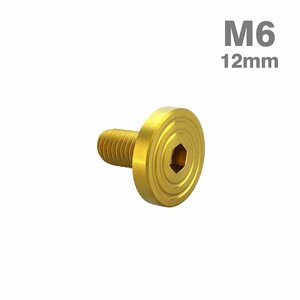 M6×12mm P1.0 ボタンボルト シェルヘッド フラット ステンレス マット ゴールド カウル フェンダー バイク カスタム 1個 TR0845