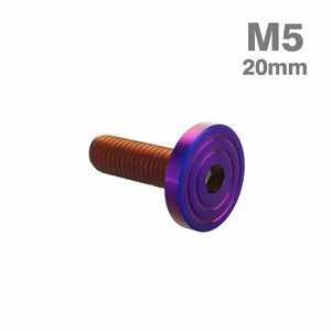 M5×20mm P0.8 ボタンボルト シェルヘッド フラット ステンレス マット 焼きチタンカラー カウル フェンダー バイク カスタム 1個 TR0859