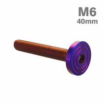 M6×40mm P1.0 ボタンボルト シェルヘッド フラット ステンレス マット 焼きチタンカラー カウル フェンダー バイク カスタム 1個 TR0870_画像1