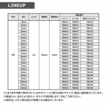 M6×40mm P1.0 キャップボルト テーパヘッド ステンレス 焼きチタンカラー カウル フェンダー エンジン 車 バイク カスタム 1個 TB0136_画像3