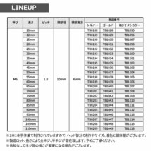 M6×70mm P1.0 キャップボルト テーパヘッド ステンレス シルバー カウル フェンダー エンジン 車 バイク カスタム 1個 TB0201_画像3