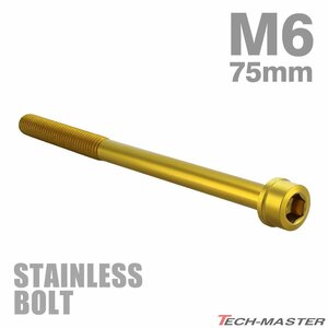 M6×75mm P1.0 キャップボルト テーパヘッド ステンレス ゴールド カウル フェンダー エンジン 車 バイク カスタム 1個 TB1042