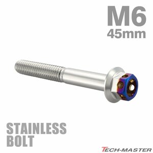 M6×45mm P1.0 フランジボルト ヘキサゴンヘッド ステンレス シルバー×焼きチタンカラー エンジン 車 バイク カスタム 1個 TB0668