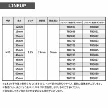 M10×65mm P1.25 フランジボルト ヘキサゴンヘッド ステンレス シルバー×焼きチタンカラー エンジン 車 バイク カスタム 1個 TB0708_画像3