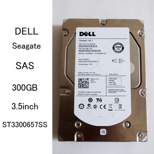 * format settled si- gate 300GB SAS 3.5 -inch desk top HDD ST3300657SS 15K.7 Dell Junk #3807