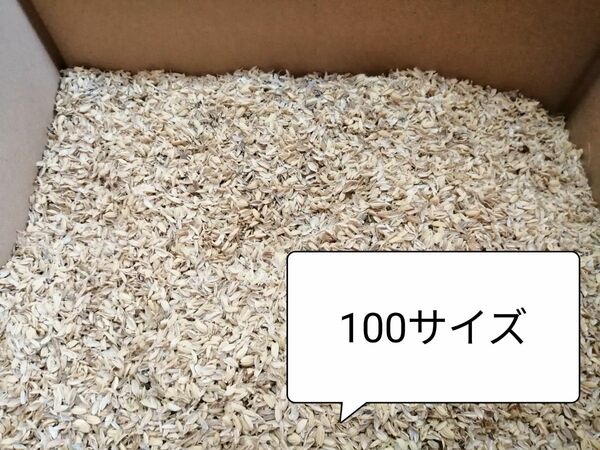 もみ殻100サイズ