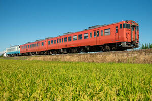 鉄道 デジ 写真 画像 キハ JR四国 阿波おどり増結 普通列車 28