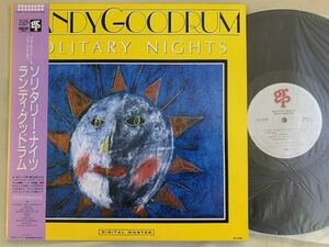 ランディ・グッドラム RANDY GOODRUM / SOLITARY NIGHTS 国内盤・帯付き GRP VIL-6199 デイヴ・グルーシン Light Mellow 金澤寿和