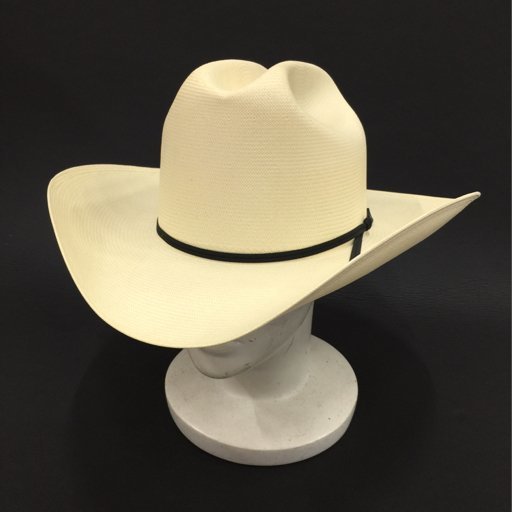 ヤフオク! -「stetson hat」(ファッション) の落札相場・落札価格