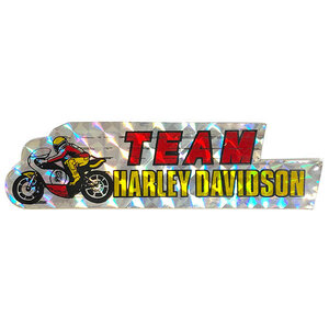 チーム ハーレーダビッドソン ホログラム加工 ビンテージ デカール TEAM HARLEY DAVIDSON Vintage Decal ステッカー Sticker NOS KRTT XRTT