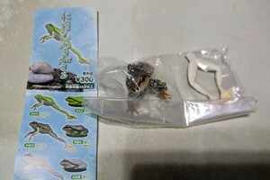 にほんあまがえる　ジャンプ　ボールチェーン付き　保護色　茶色　ミニチュア　カプセルトイ　ガチャガチャ　フィギュア　蛙