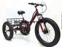 好評 24インチ 大人の三輪自転車 バスケット 設置ツール 7スピード 快適な自転車 男性と女性のためのショッピングのため用 3色選択可能_画像6